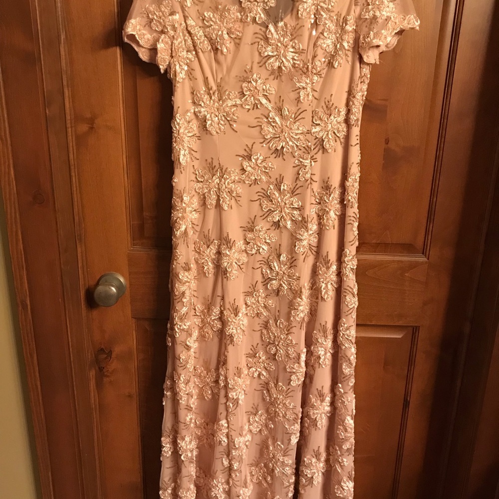 Alex Evenings size 12 floor length gown.